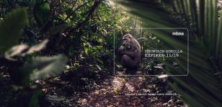 MBNA: Expires - Gorilla